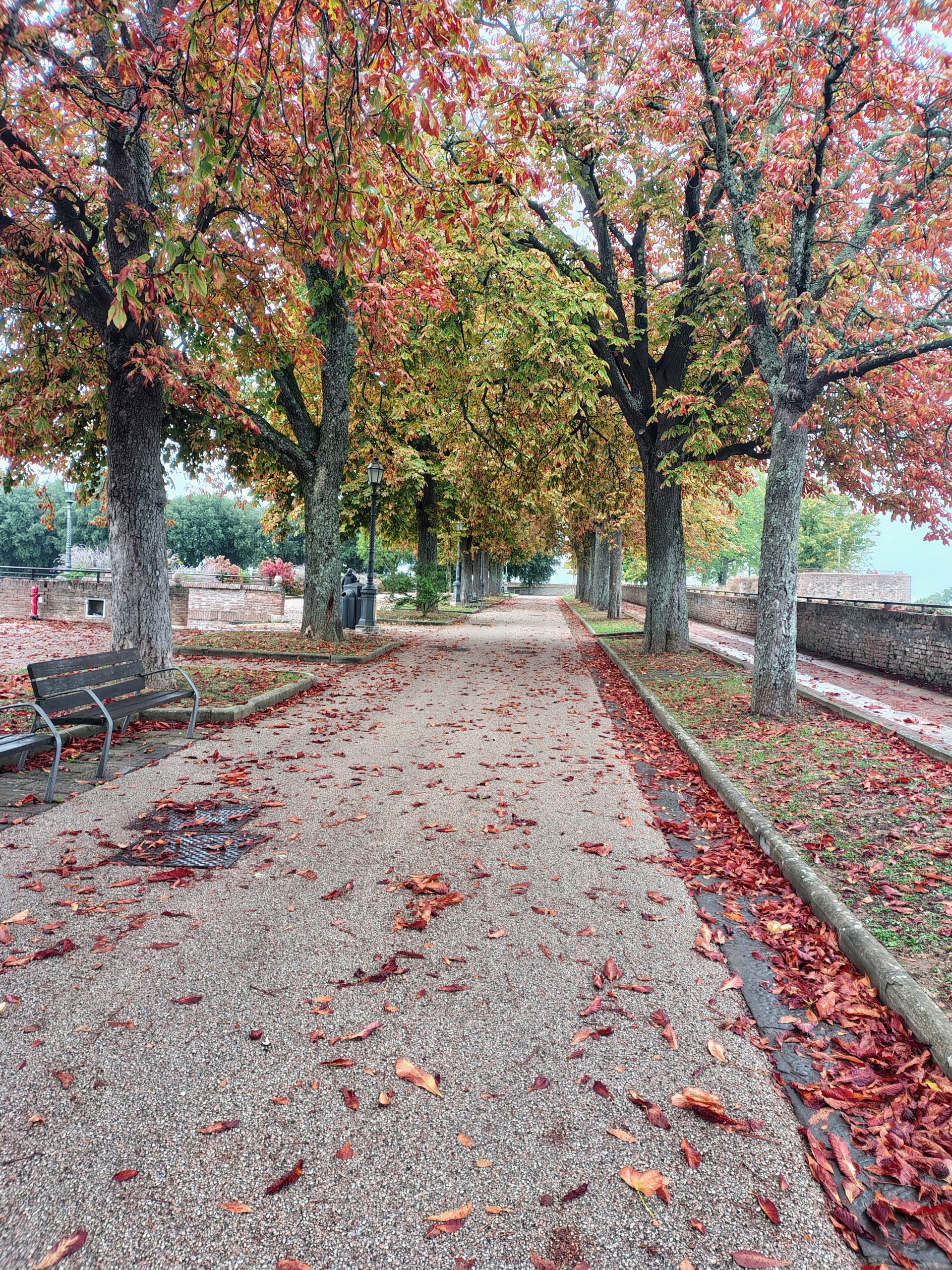CAMMINATA METABOLICA IN FORTEZZA MEDICEA 