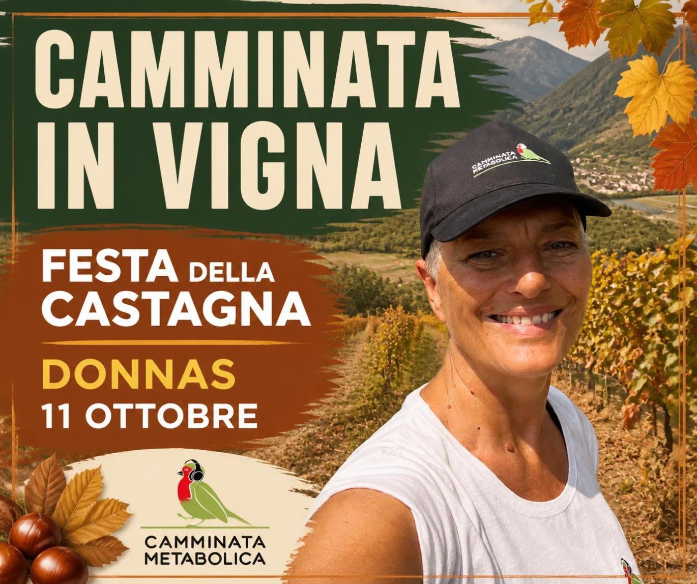 VALLE D'AOSTA- CAMMINANDO TRA I VIGNETI
