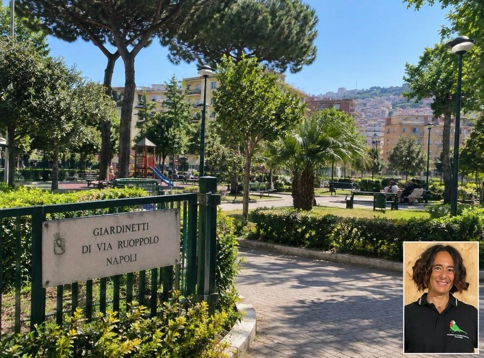 PARCO MASCAGNA ( VOMERO) 