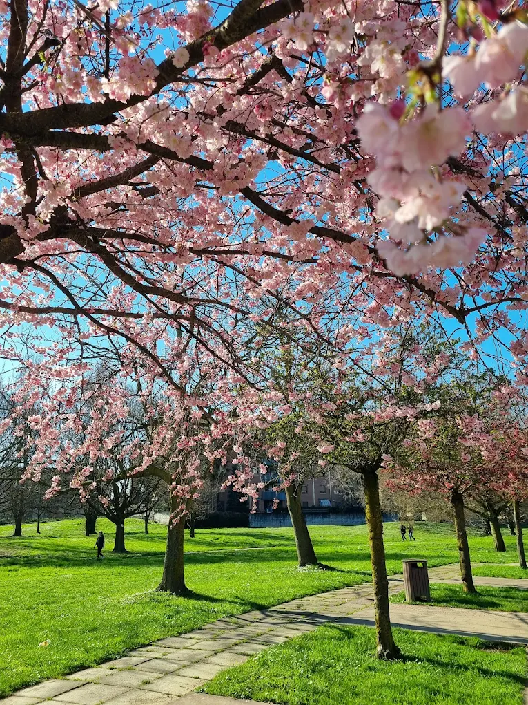 Parco Martin Luther King