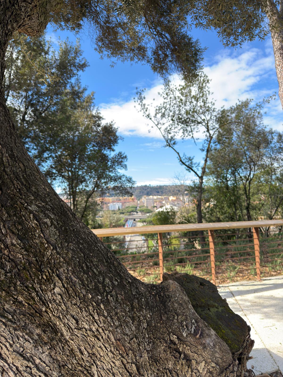              8 Marzo Festa della Donna 