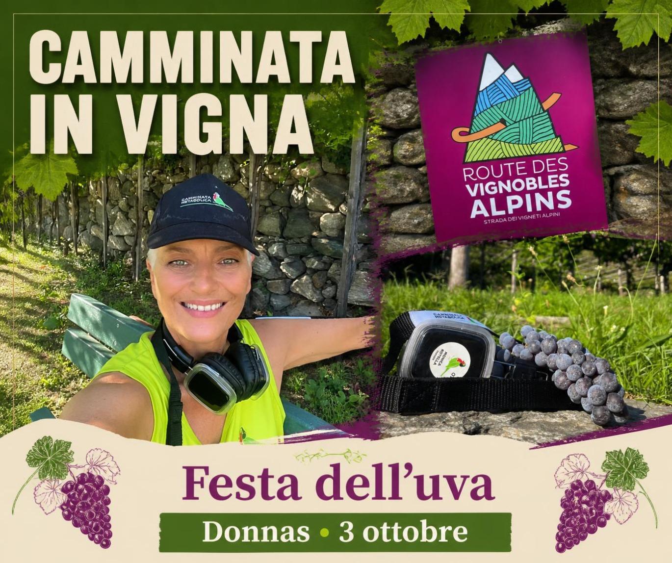 VALLE D'AOSTA- CAMMINANDO TRA I VIGNETI