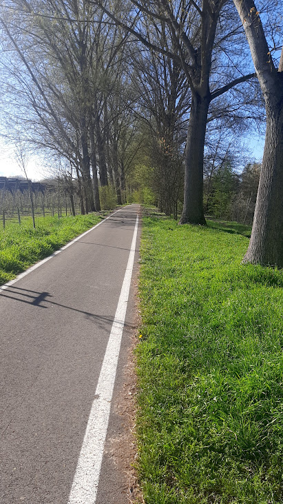 Pista Ciclabile Burana