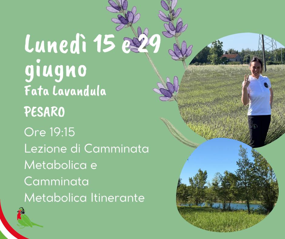 PESARO - DALLA LAVANDA AL LAGO