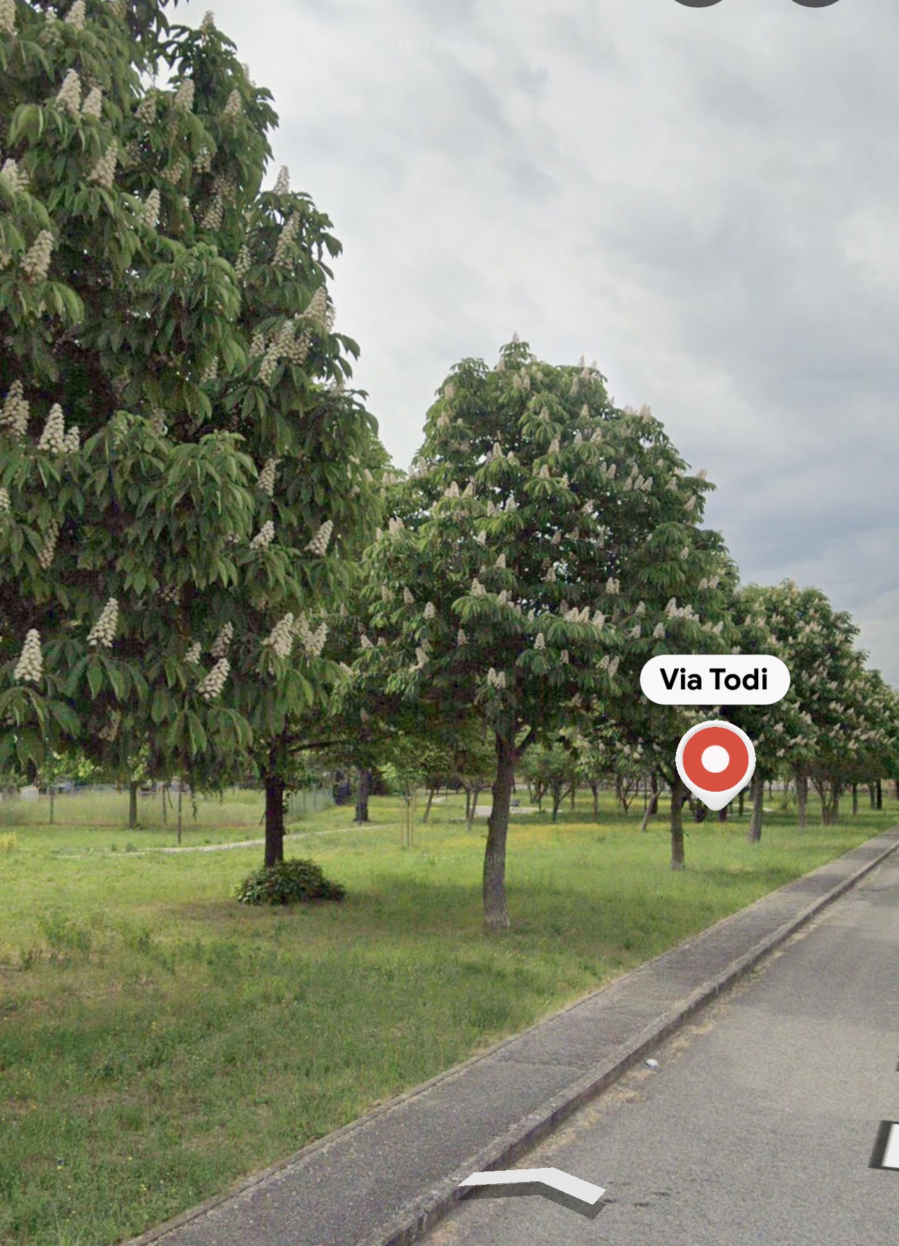 Parco via. Todi 