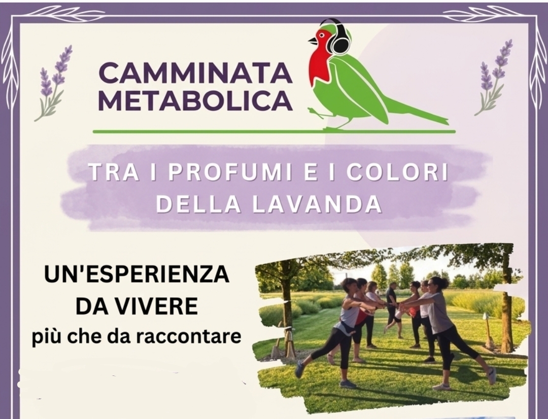 TRA I PROFUMI E I COLORI DELLA LAVANDA