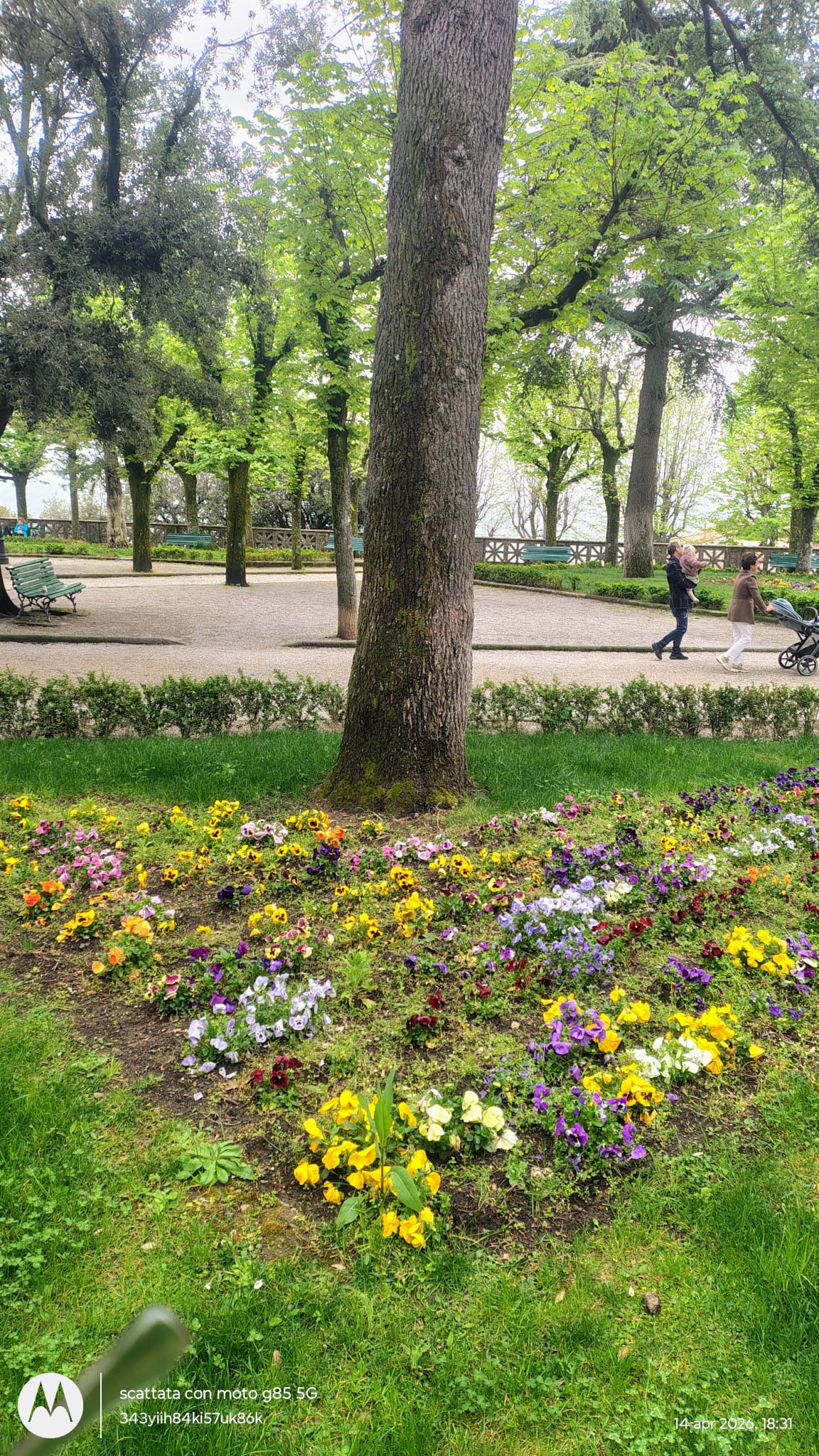  Cortona Giardini del Parterre