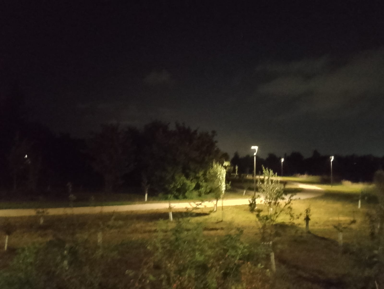 Parco Valle Ferrovia - Savignano sul Rubicone 