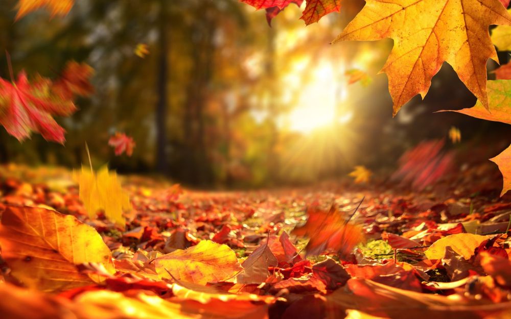 Tra foliage e tramonto 