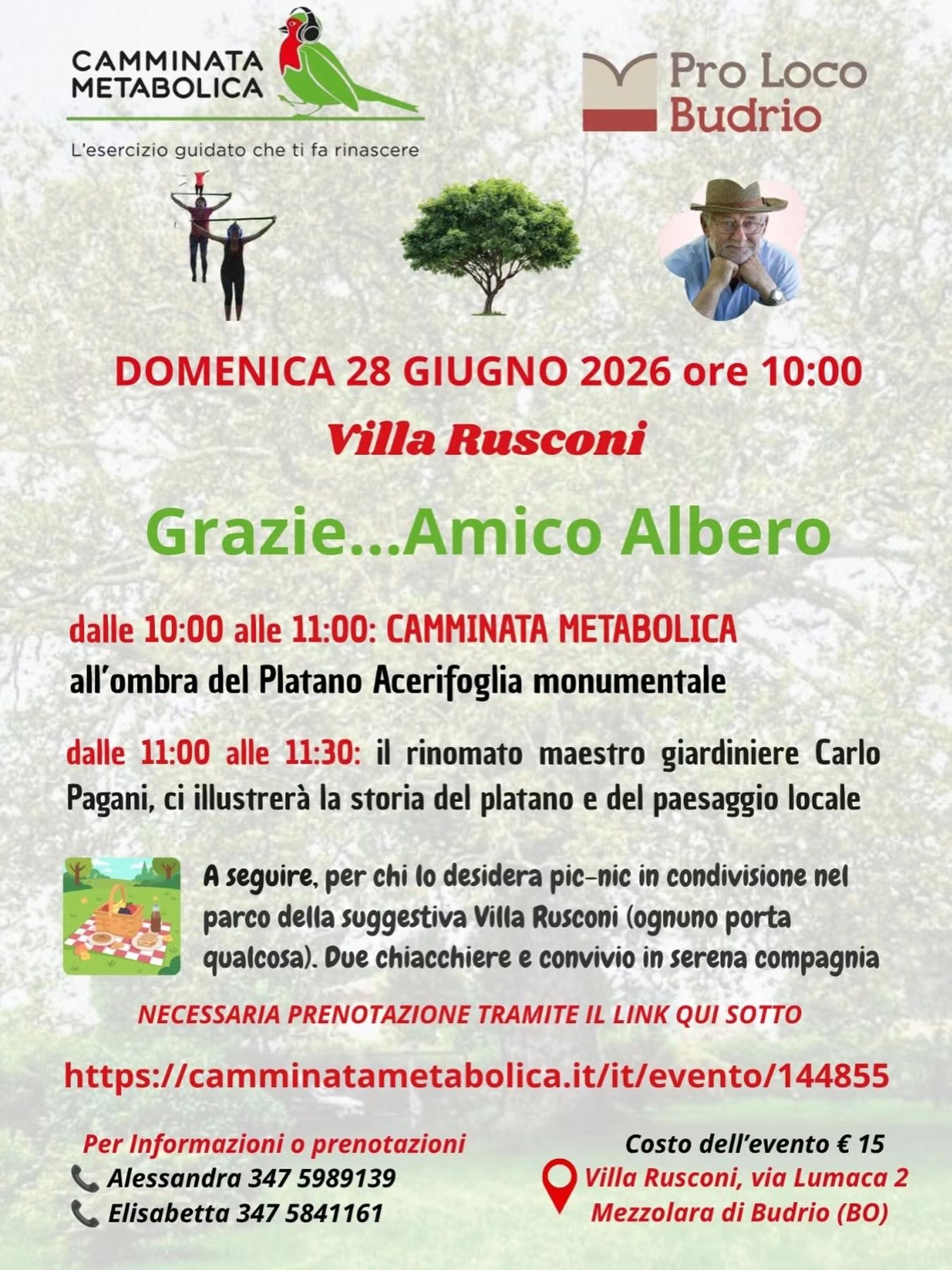 Budrio - grazie amico Albero 