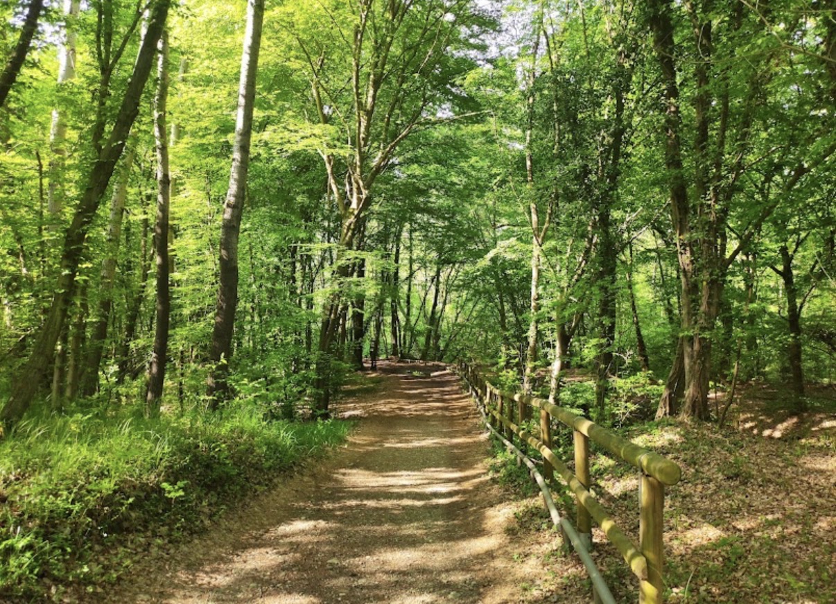 Parco Riserva Orientata La Fagiana