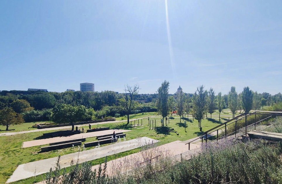 PARCO  TEVERE MAGLIANA