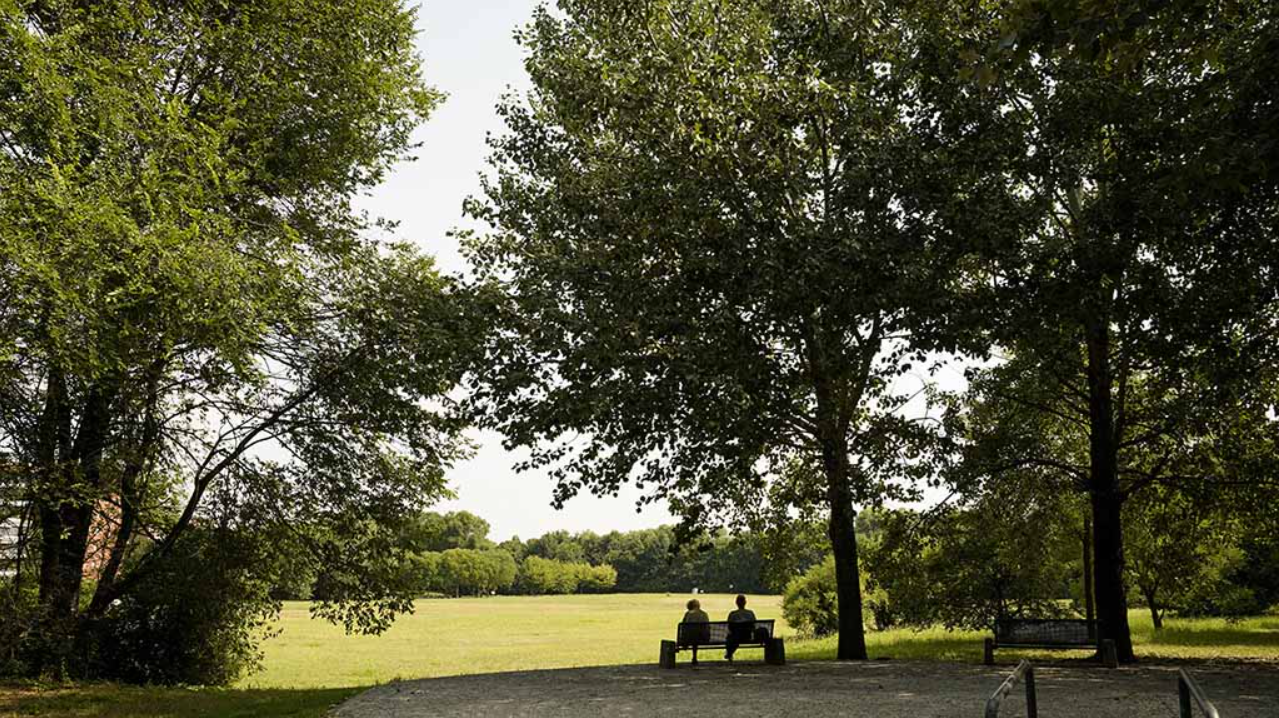 Parco Urbano TRE PALLE