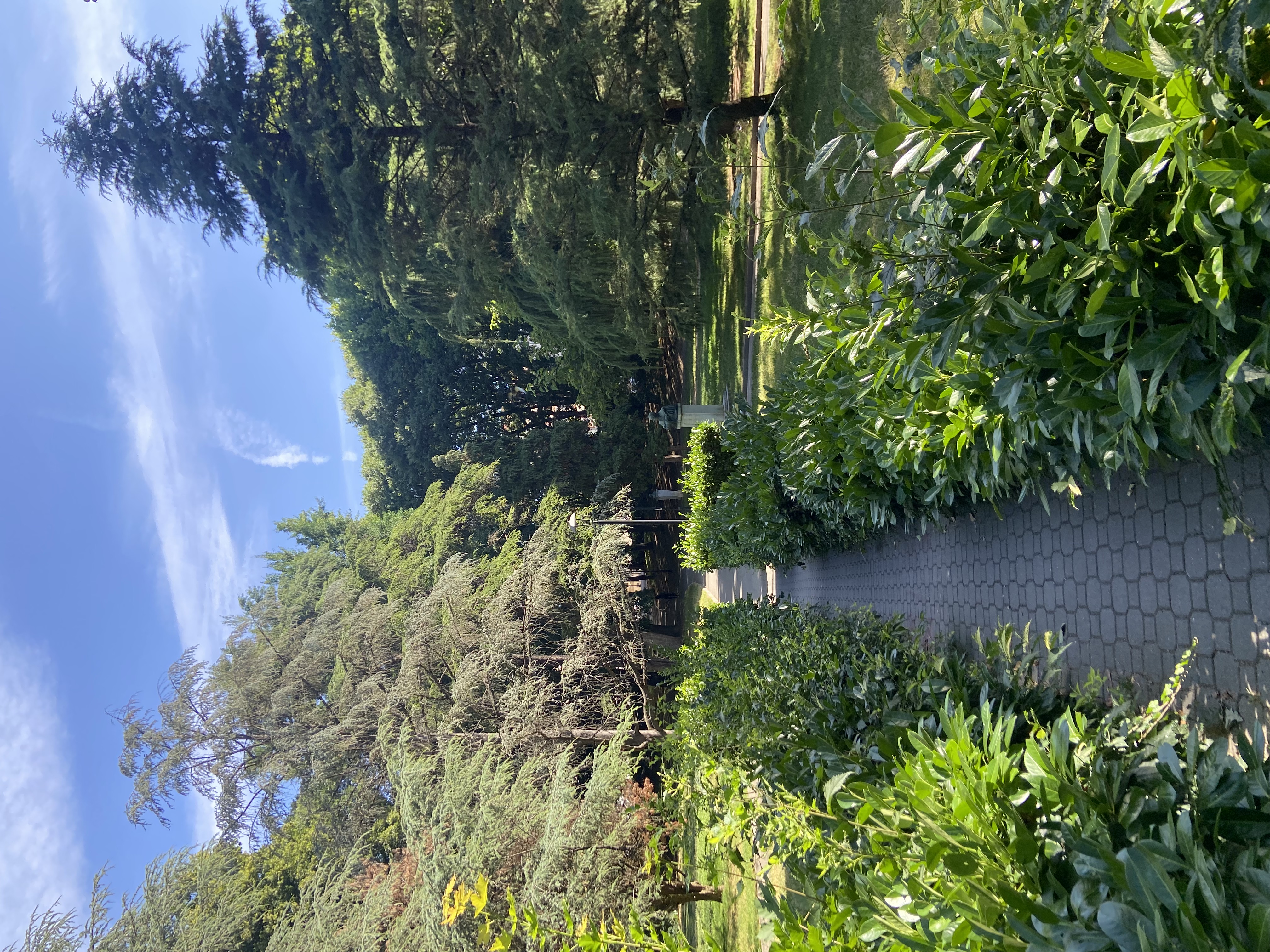 Asti - Parco della Resistenza (giardini pubblici)