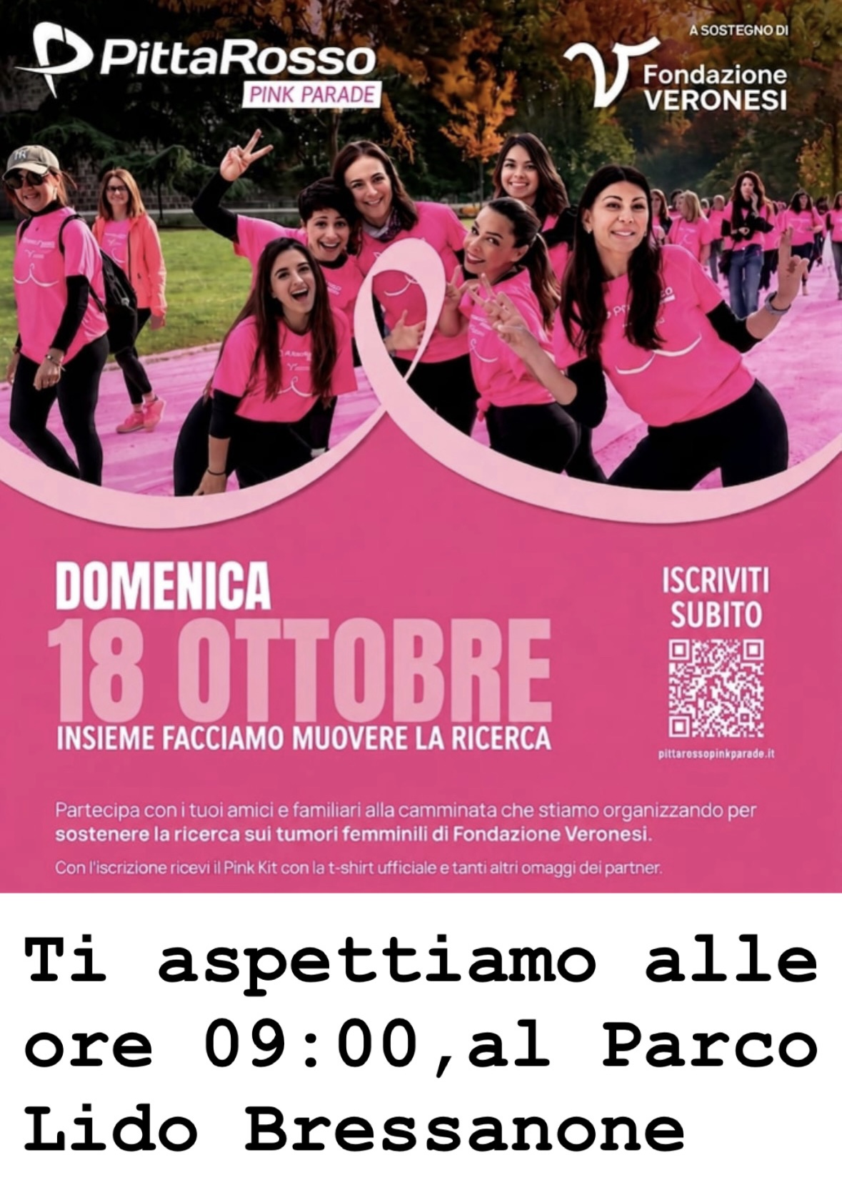 🩷Bressanone-Parco Lido-PittaRosso Pink Parade🩷