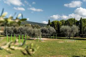 Parco dell’Oliveta