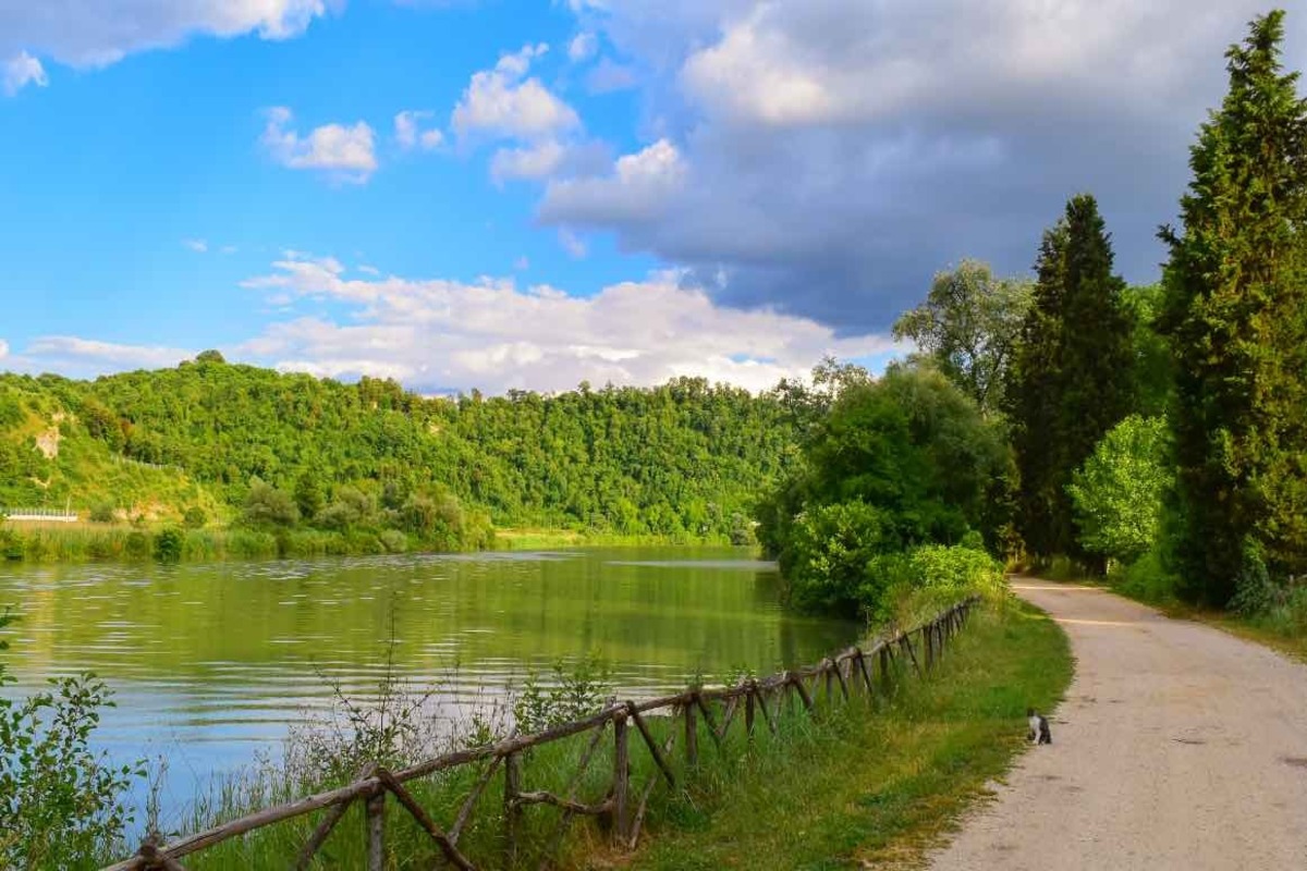 Riserva Naturale Tevere-Farfa 3 trainer