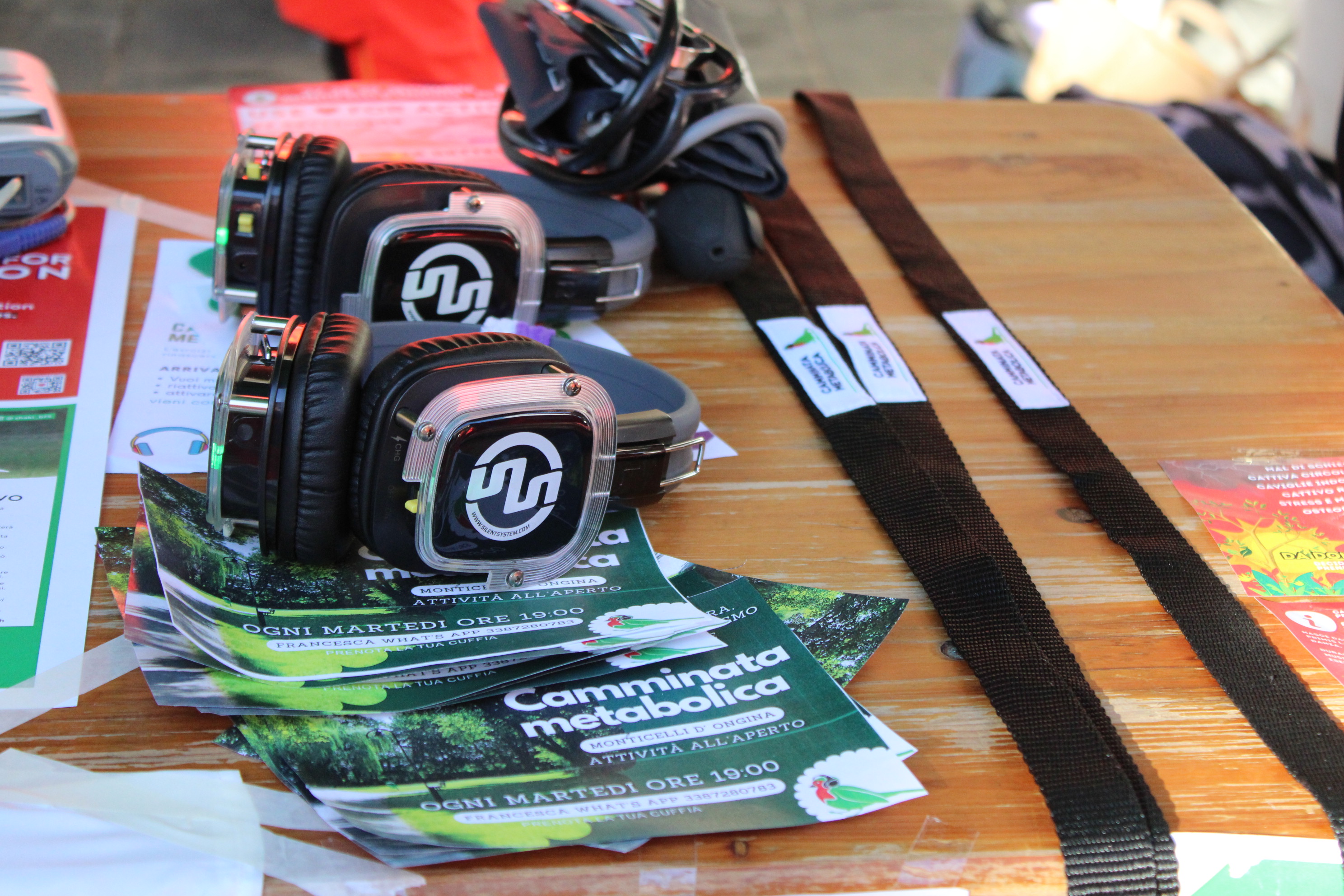 Cremona Lezione dimostrativa con Francesca