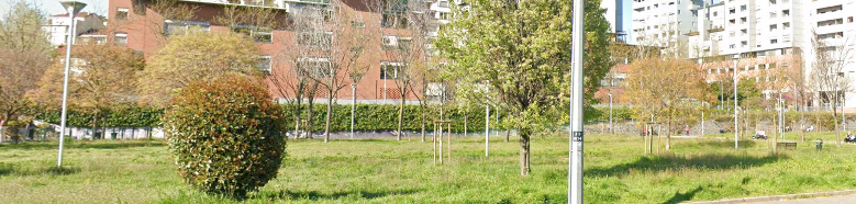 TORINO - APERTURA NUOVO PARCO: PARCO DORA AREA INGEST (Via Nole) - LEZIONE DIMOSTRATIVA