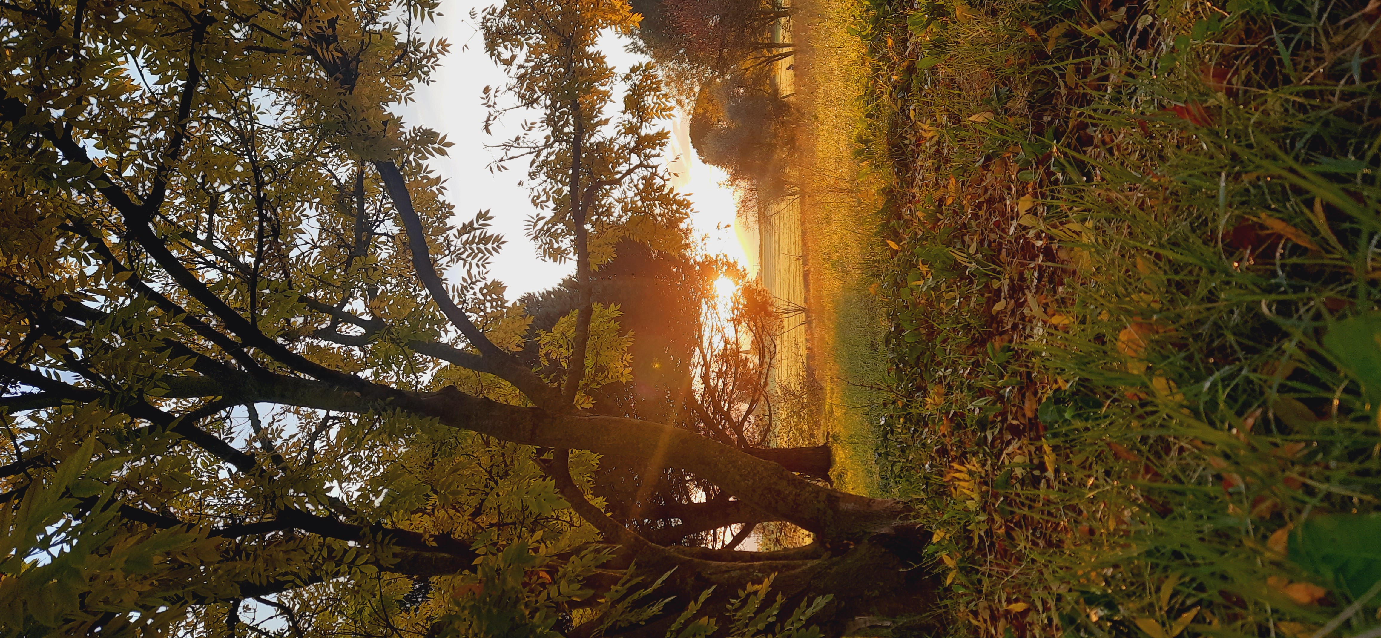 Lezione detox di prova