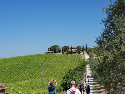 Bosco di Geggiano 