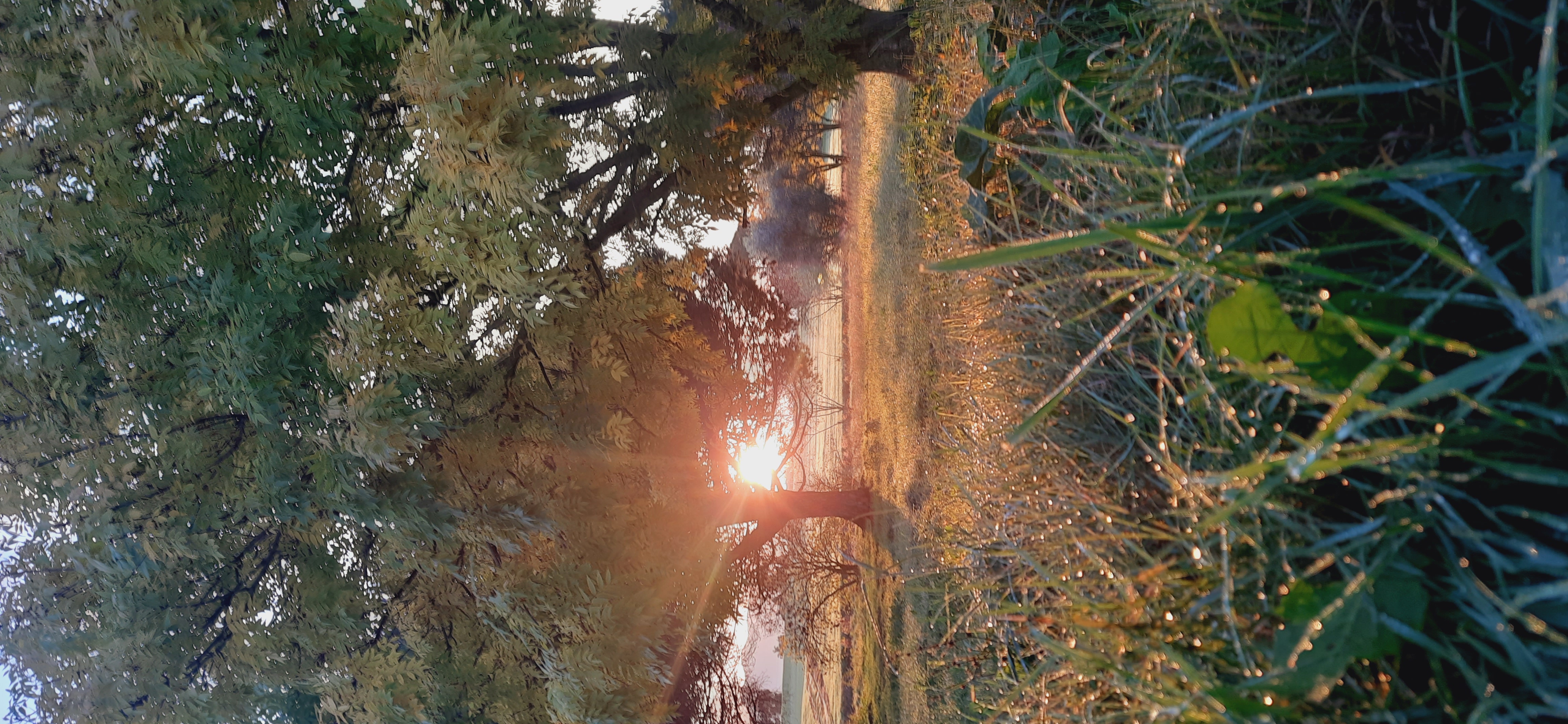 Lezione detox di prova