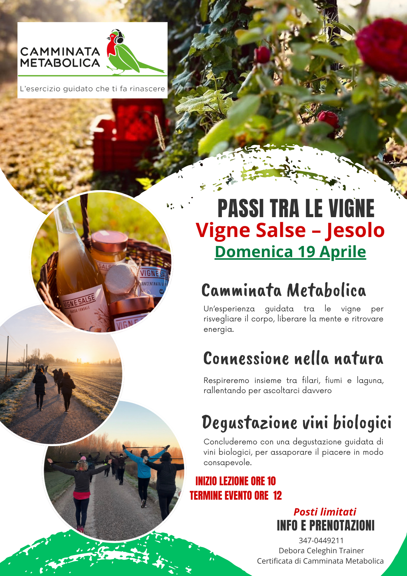 Vigne salse